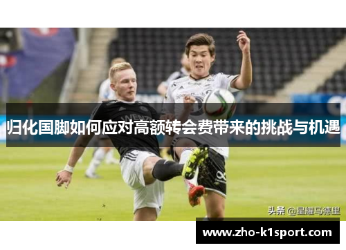 归化国脚如何应对高额转会费带来的挑战与机遇