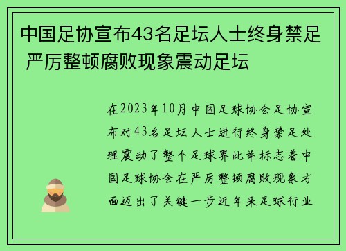 中国足协宣布43名足坛人士终身禁足 严厉整顿腐败现象震动足坛 中国足协宣布43名足坛人士终身禁足 严厉整顿腐败现象震动足坛
